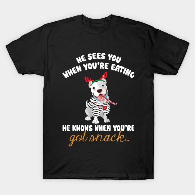 He Sees You When You're Eating Christmas Pitbull T-Shirt by TeeSky